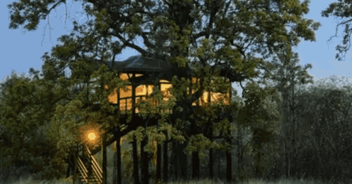 Pench Tree Lodge – rooted in nature, elevated in experience.