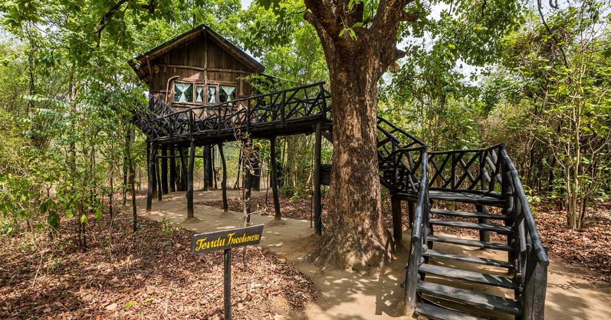 Tree House Hideaway is deep in the jungle, high in the trees, wild at heart. Image source: Treehouse Hideaway