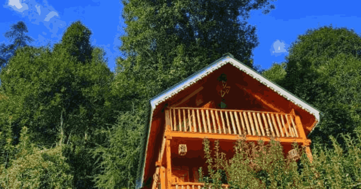 Cradled in the treetops, kissed by Himalayan air – a secret hideaway in Jibhi.