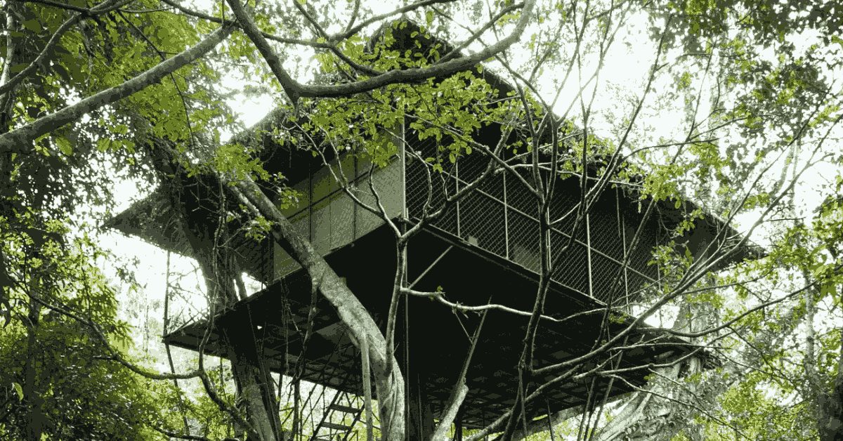 Vythiri Resort is where the forest breathes and time stands still. Image source: Vythiri resort