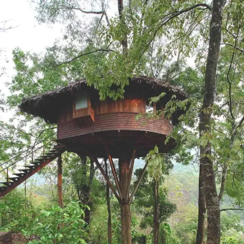 Rainforest Resort Athirapally – where waterfalls roar and the wild whispers.