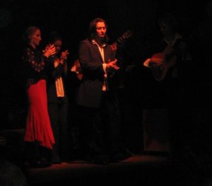 Flamenco Returns to India