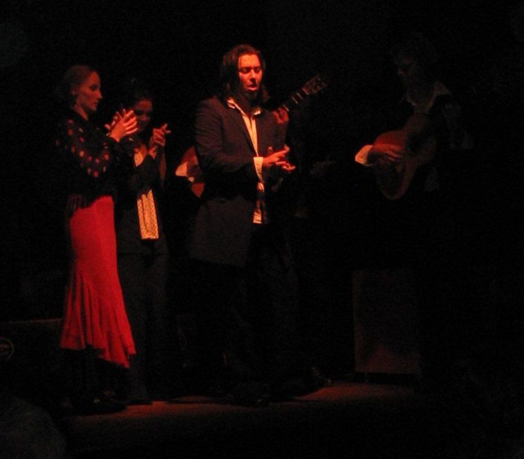 Flamenco Returns to India - The Better India
