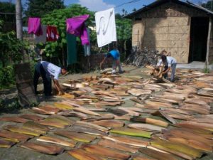 The Raw Material Left for Drying