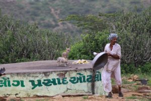 The Jackals of Kala Dungar - Where A Community Has Kept Them Alive With Vegetarian Food