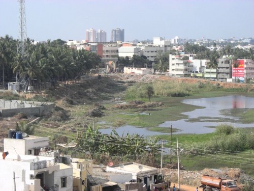 View of an island on Puttenahalli Lake in 2009