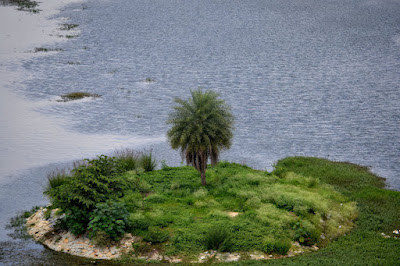 The same island on Puttenahalli Lake in Aug 2011