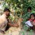Dharhara in Bihar plants fruit trees for the birth of a girl child