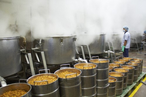 Lentils being cooked in Akshaya Patra Kitchen