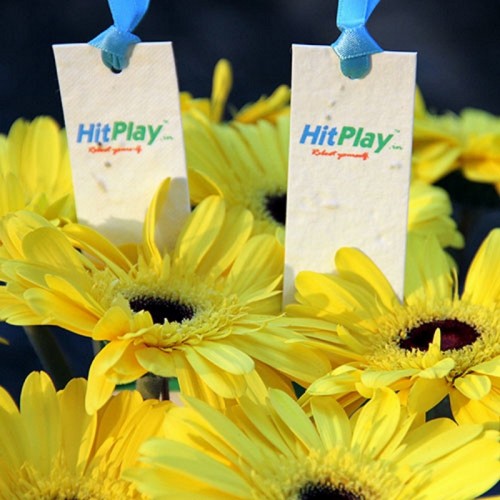 Bookmarks that can be planted after use to grow sunflowers