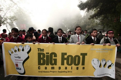 AT - Big Foot Campaign