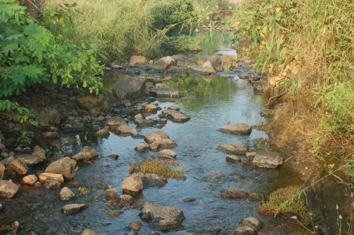 And quiet flows the Asaavali