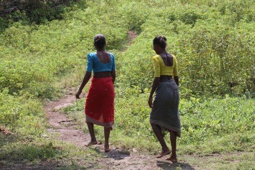 Warli women going to work in their fields