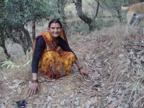 Sarpanch Sudha Gurwant feels that "when our van panchayats work well, our forests are healthy and our people are happy." (Credit: Prem Chadha\WFS)