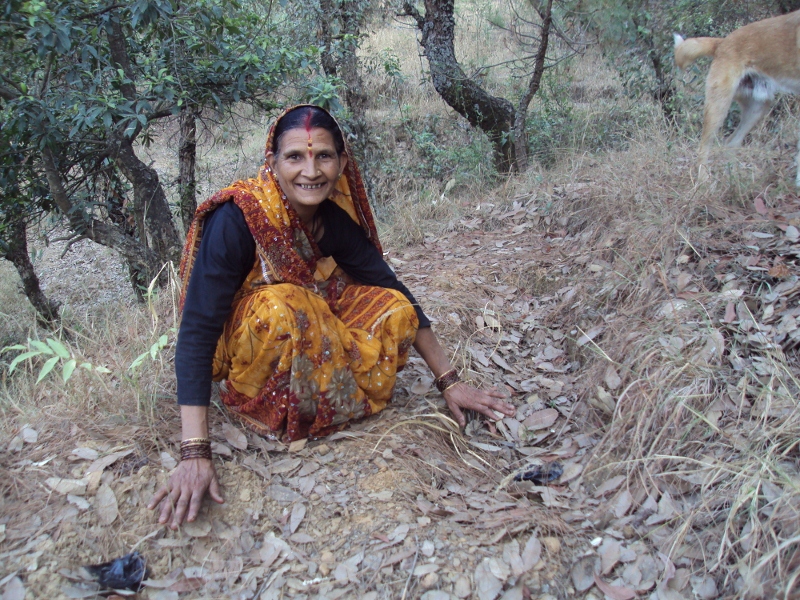 Van Panchayats – Keeping Forests Healthy And People Happy!
