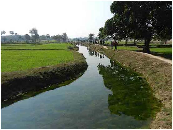Ahar Pyne system in Gaya, South Bihar; Image courtesy: Hindi Water Portal