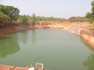 A view of the two acre lake at Oddoor farms, Mangalore