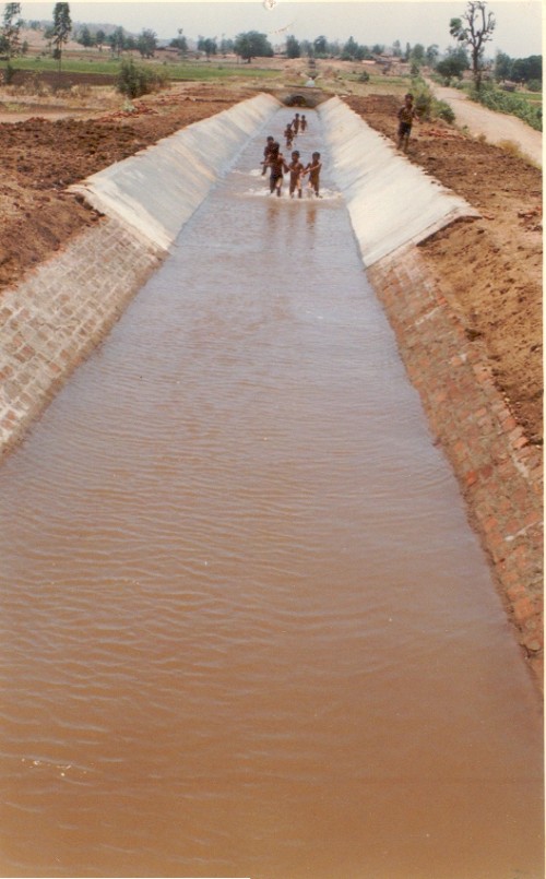 The efficiency of water committees has ensured that the irrigation canals provide adequate water to all farmers in the area.