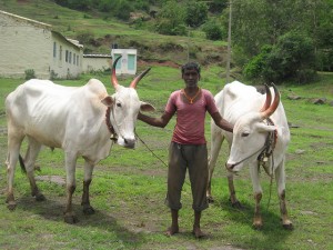 TBI Photo Essay: Post-Monsoon Celebrations In Rural Maharashtra