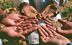 TBI Special Reports: 8 Defining Milestones In India’s Social Enterprise Landscape
