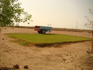 Aravali Institute of Management: The Story Of Breathing Life Into A Barren Land