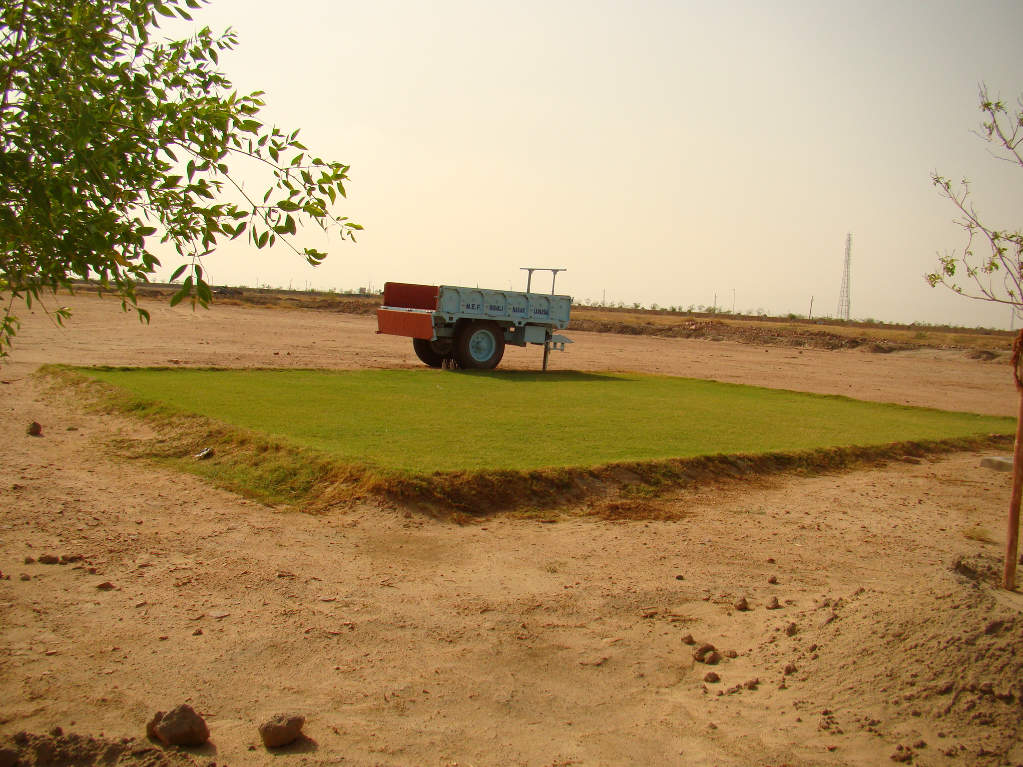 First experimental lawn successfully developed, flanked by trees that were planted and nicely grown on the wasteland.