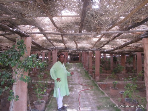 Mr. Varun Arya in the Natural Meditation Centre at the site.