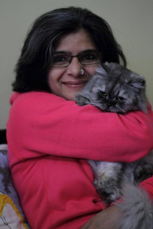Rehana has opened a 'Cat Pet Therapy Centre' in Bangalore with her 14 Persian cats