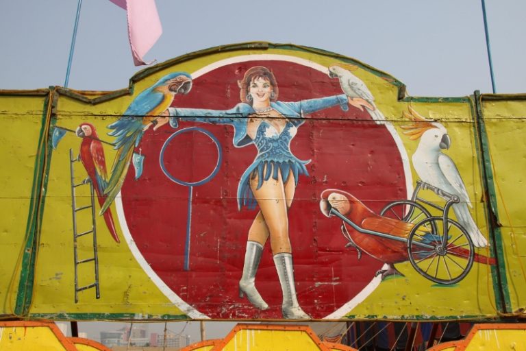 An Indian Circus We Took A Look Behind The Scenes And Were Amazed With