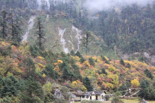 Autumn Colours in the Mountains