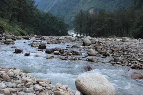 River Teesta