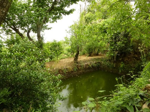 irrigation tank on the Gunavante's farm