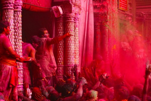 A priest at the Sri Banke Bihari temple throwing gulaal at the devotees.
