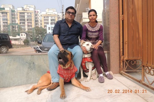 AjayDeep Singh and Samita Sharma are not just married to each other but also to their heartfelt cause of saving dogs and giving them a new life.