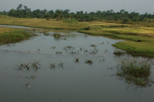 And quiet flows the Walvanda river