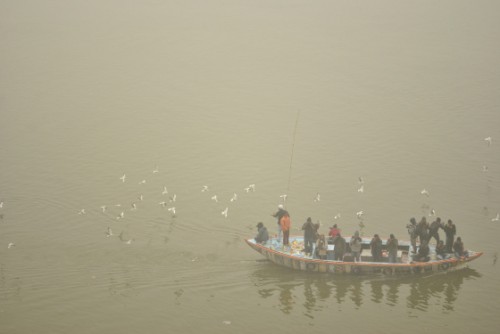 6:30 a.m in the morning, the waters are covered in dense fog. Sometimes, when the fog dissipates in parts, one can watch seagulls travelling with the boats, as the oarsmen throws fish food into the water.