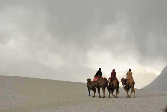 Riding double-humped camels on the sand dunes at Nubra Valley.