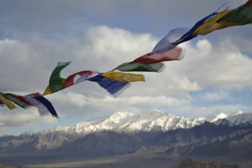 A For Apricots, B For Buddhism, C For - Presenting The Complete A to Z  of Leh, Ladakh - The Better India