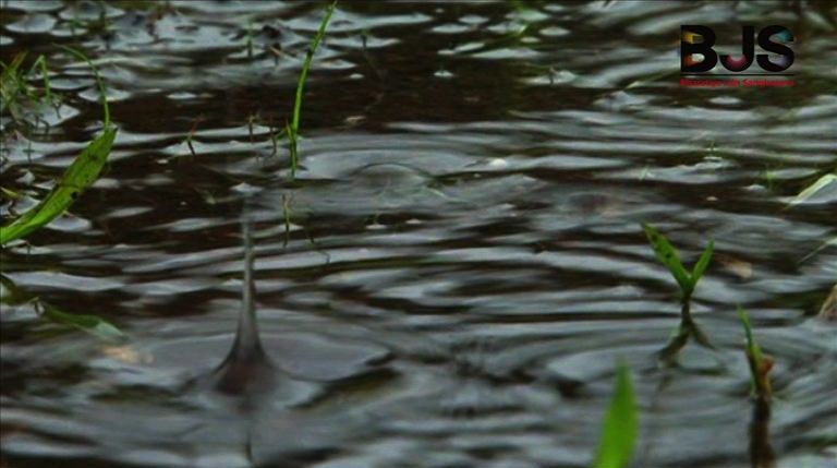 Every drop of water is a precious commodity during summer months