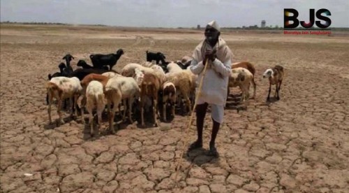 Drought is a regular summer feature in Maharashtra