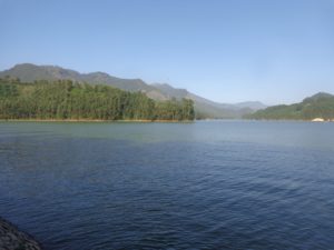 Munnar In A Nutshell - Tea And Tranquility In God's Own Country