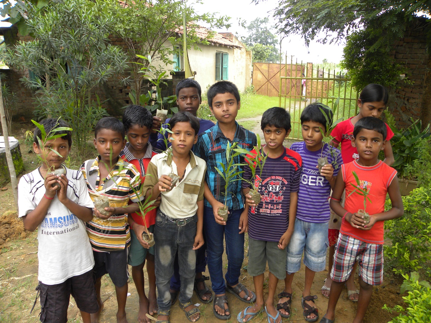 The kids have taken keen interest on plant cultivation