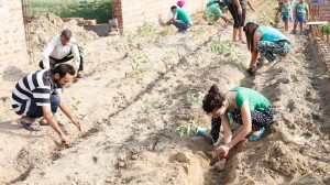 How Citizens Of Ludhiana Came Together And Planted 1,50,000 Saplings In One Hour!