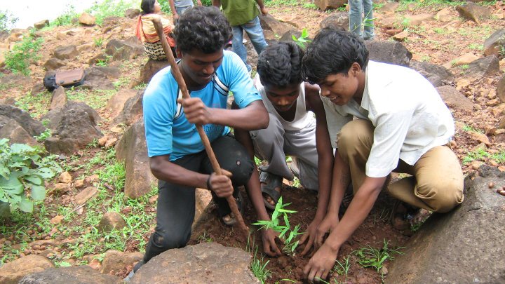 Reviving The Green Cover In The Kanha-Pench Wildlife Corridor, One Sapling At A Time