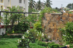 YOUR VIEW: Here Is How You Can Create A Tiny Organic Farm On Your Terrace