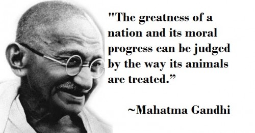 quote_gandhi