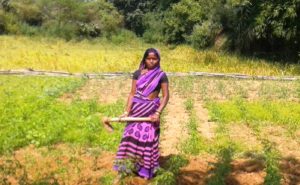 How Innovative Agricultural Techniques Are Helping Farmers In Jharkhand Produce Bumper Crops