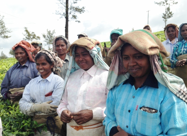 BBTC Tea Factory, women