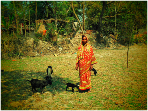 Mrs Mira Bhandari is happily running her poultry business.