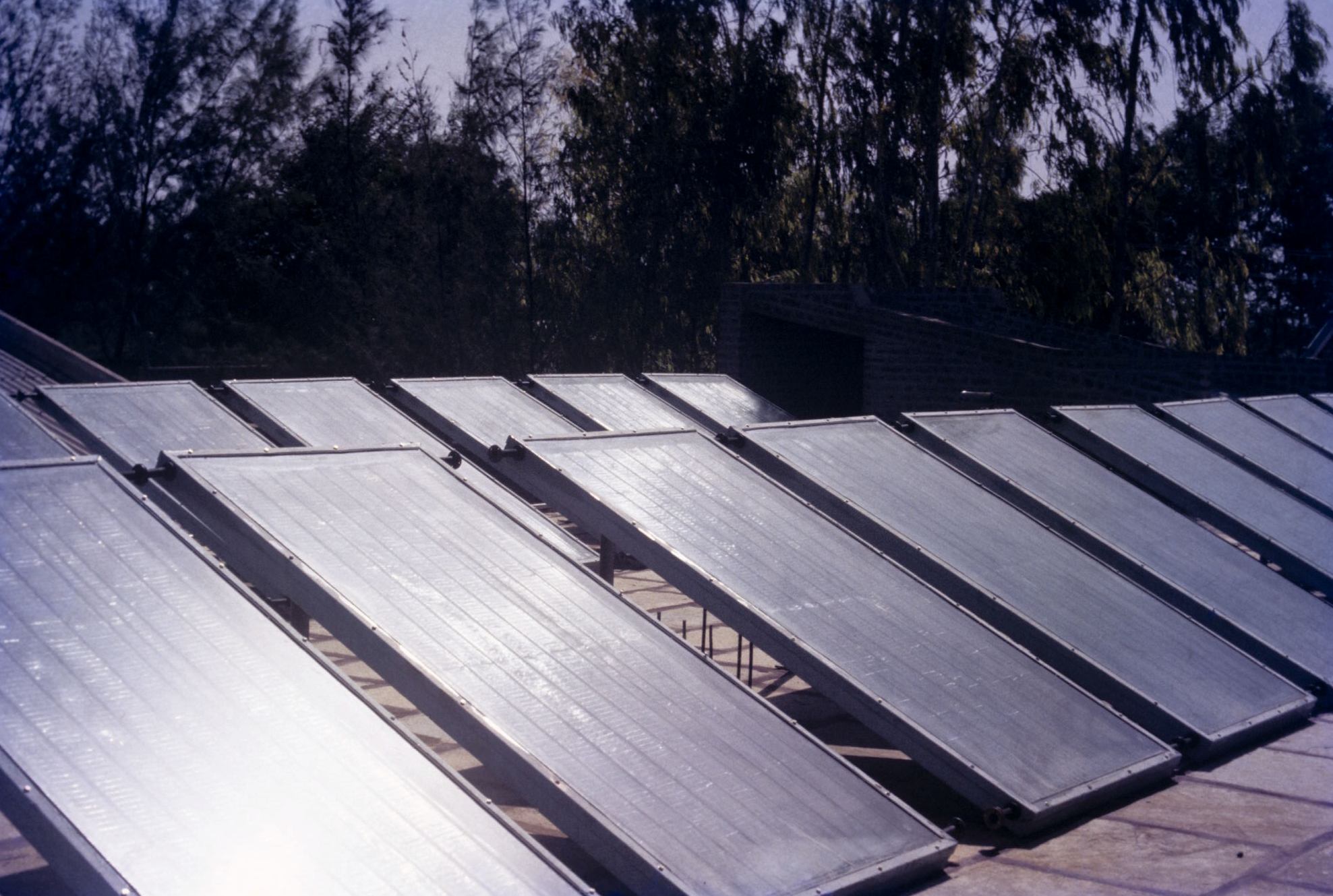 Solar run plant.